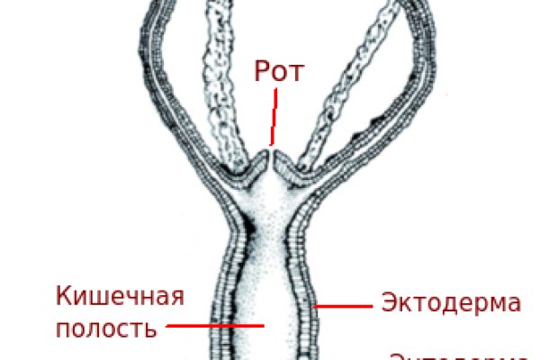 Современный маркетплейс kraken door