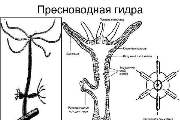 Kraken ссылка зеркало krakentor site